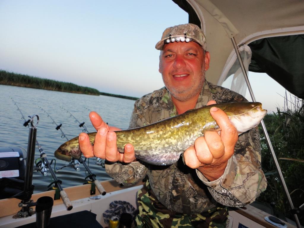 fishes - dsc09928.JPG